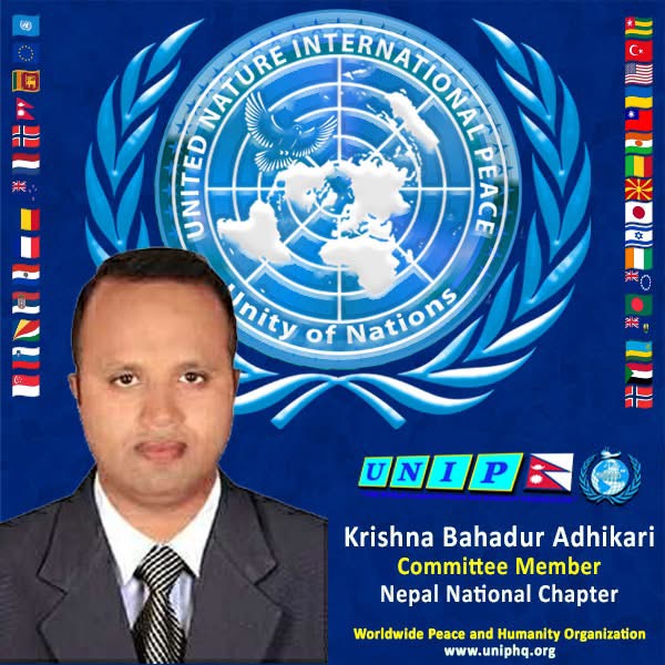 Organization member