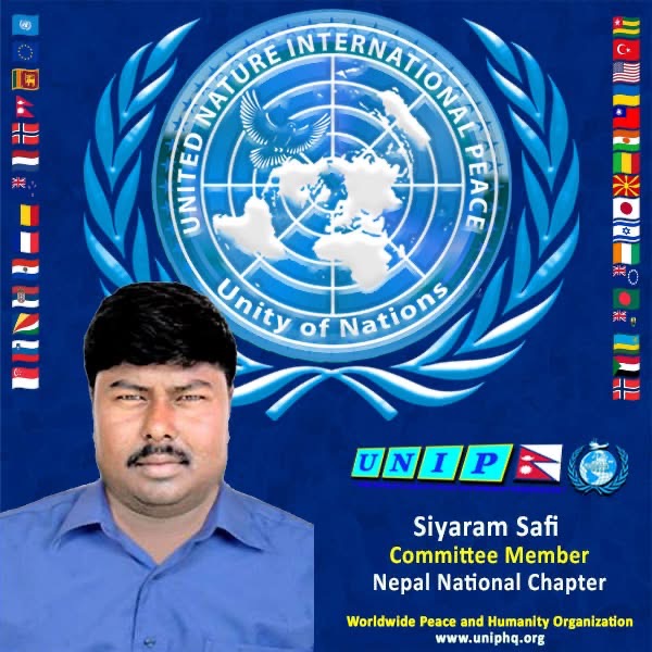 Organization member