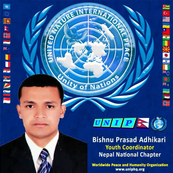 Organization member