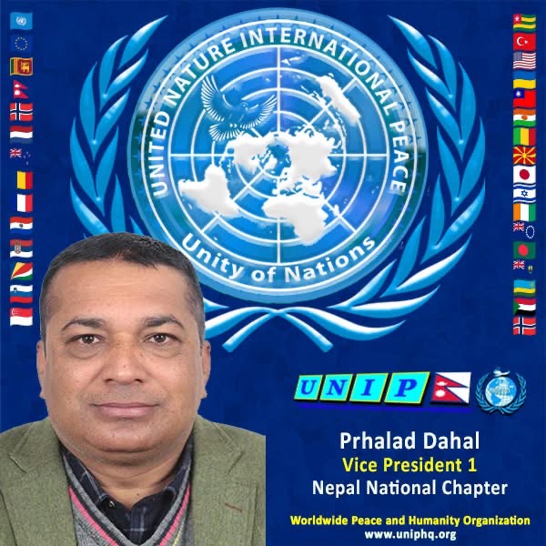 Organization member