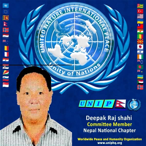 Organization member